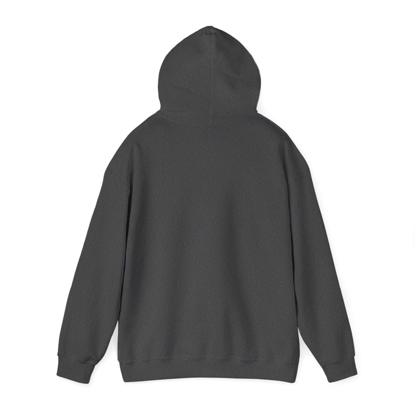 Hmong Wisdom Hoodie – Don’t Follow Before You Understand - Hooded Sweatshirt - Peb Yuav Ua Tau Co.