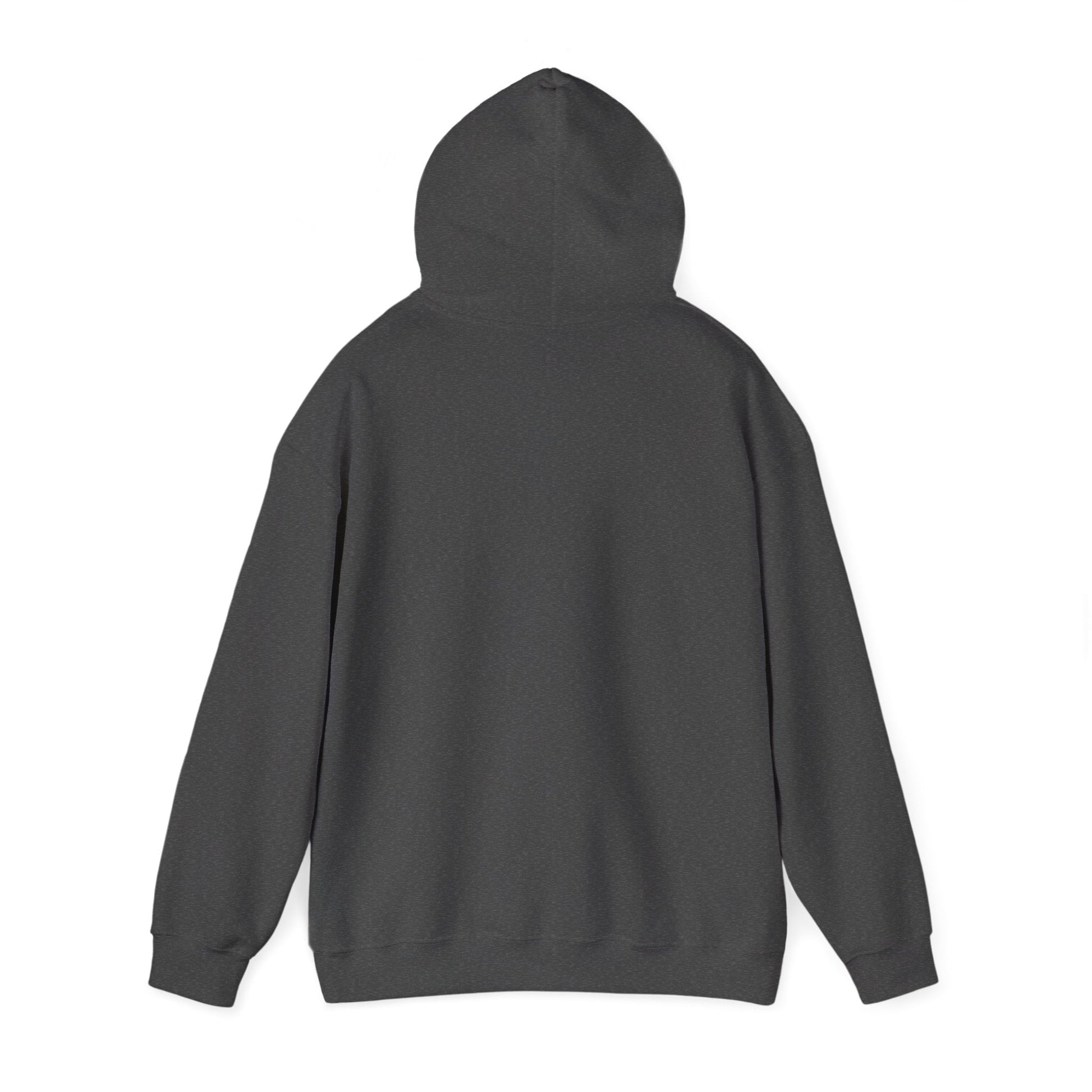 Hmong Wisdom Hoodie – Don’t Follow Before You Understand - Hooded Sweatshirt - Peb Yuav Ua Tau Co.