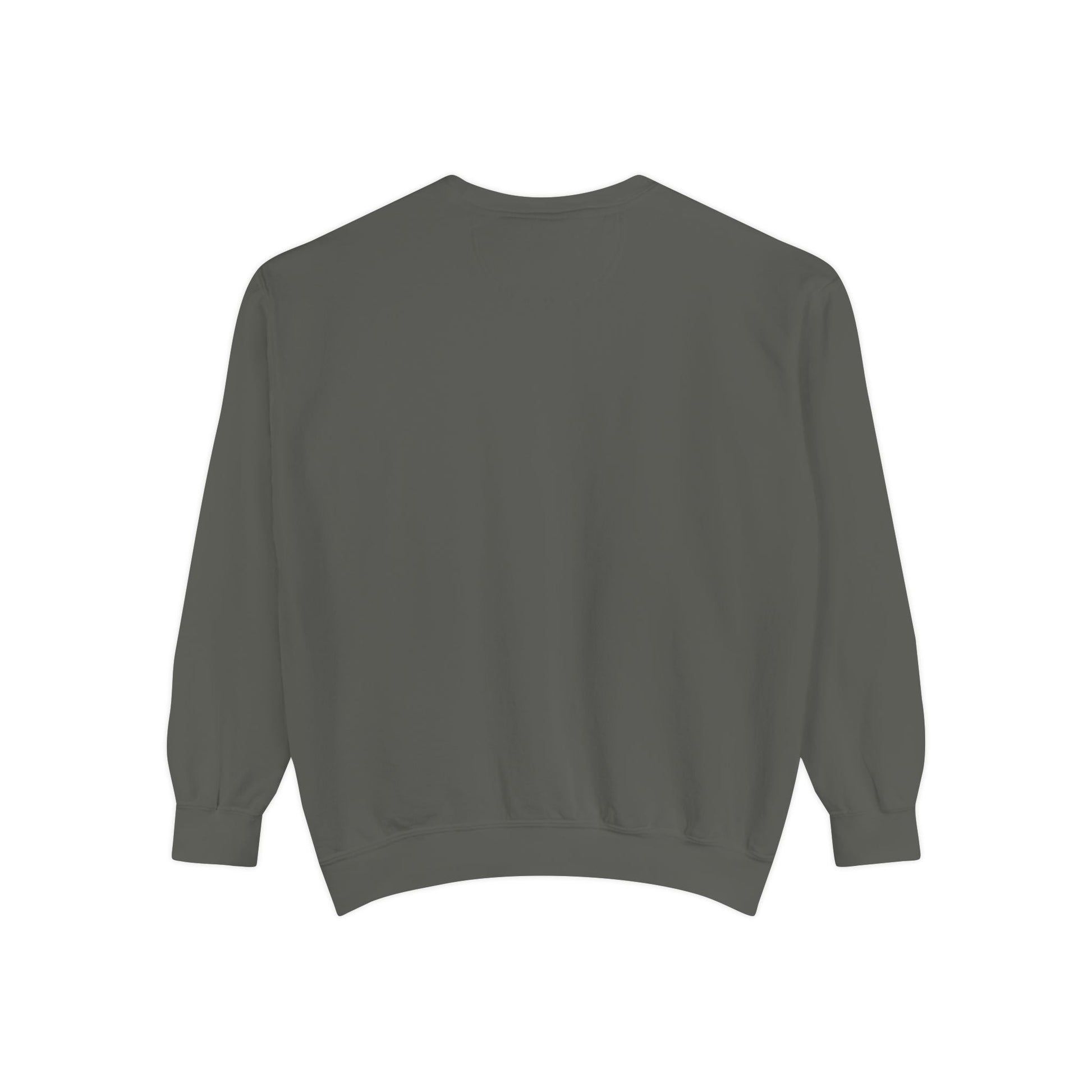 Tsis Txhob Tseg Sweatshirt - Peb Yuav Ua Tau Co.