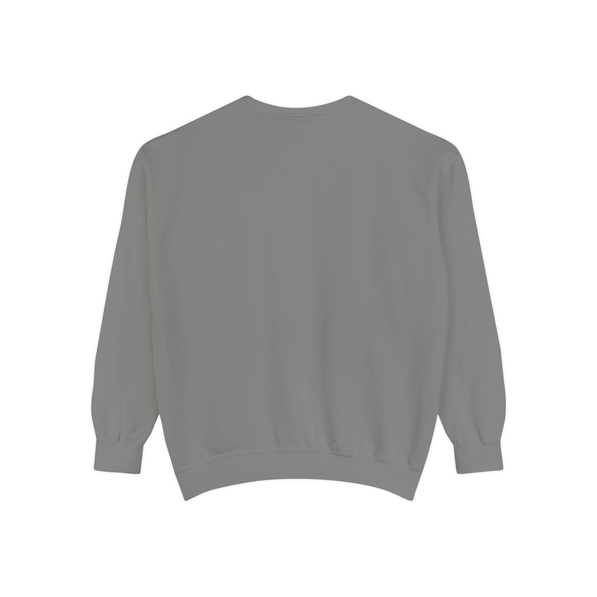Tsis Txhob Tseg Sweatshirt - Peb Yuav Ua Tau Co.